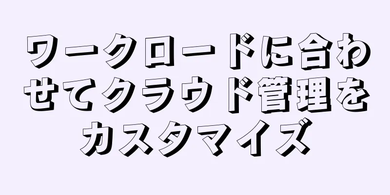 ワークロードに合わせてクラウド管理をカスタマイズ