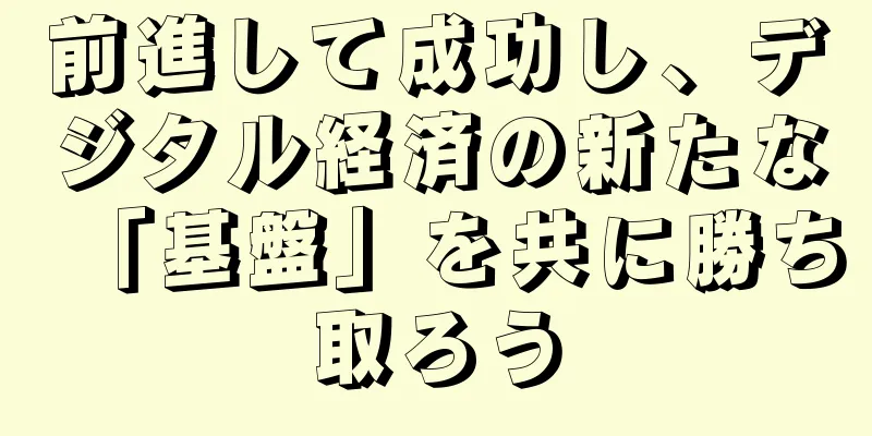 前進して成功し、デジタル経済の新たな「基盤」を共に勝ち取ろう