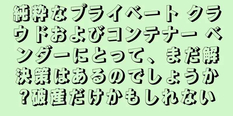純粋なプライベート クラウドおよびコンテナー ベンダーにとって、まだ解決策はあるのでしょうか?破産だけかもしれない