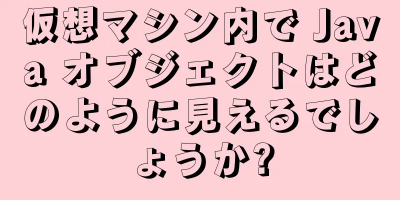 仮想マシン内で Java オブジェクトはどのように見えるでしょうか?