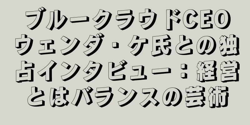 ブルークラウドCEOウェンダ・ケ氏との独占インタビュー：経営とはバランスの芸術