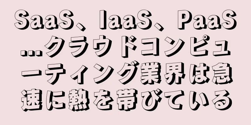 SaaS、IaaS、PaaS...クラウドコンピューティング業界は急速に熱を帯びている