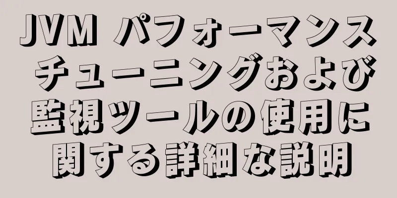 JVM パフォーマンス チューニングおよび監視ツールの使用に関する詳細な説明