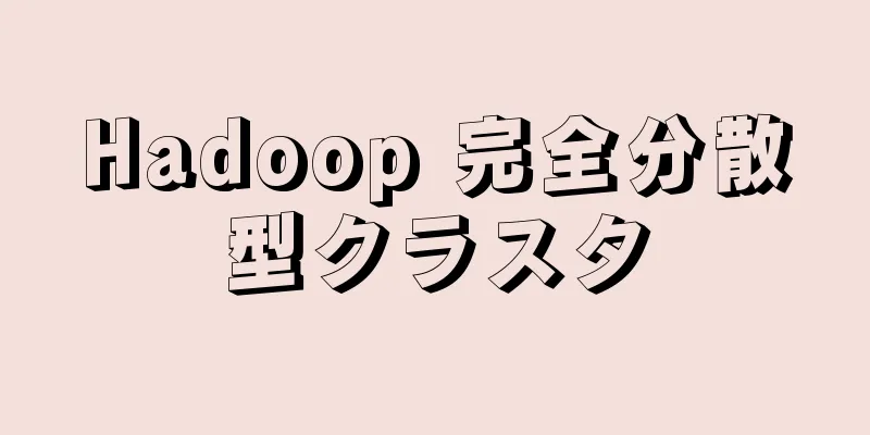 Hadoop 完全分散型クラスタ