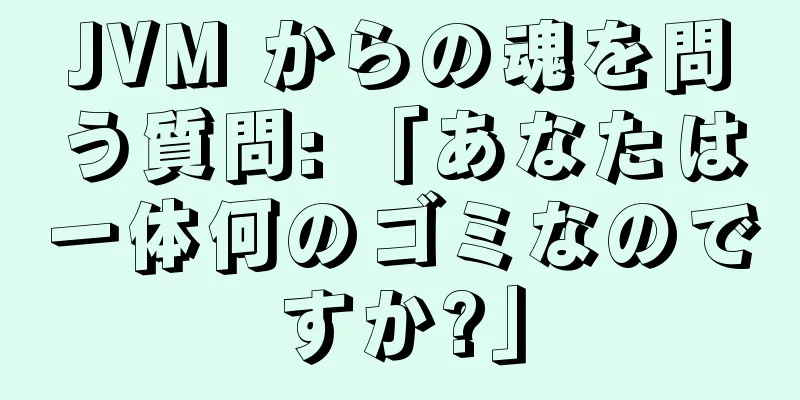 JVM からの魂を問う質問: 「あなたは一体何のゴミなのですか?」