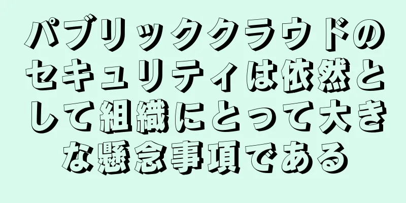 パブリッククラウドのセキュリティは依然として組織にとって大きな懸念事項である