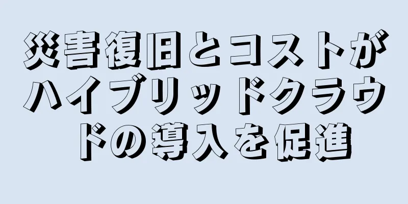 災害復旧とコストがハイブリッドクラウドの導入を促進