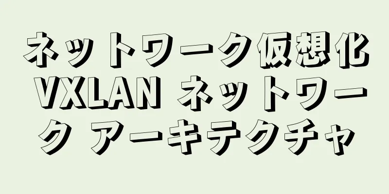 ネットワーク仮想化 VXLAN ネットワーク アーキテクチャ