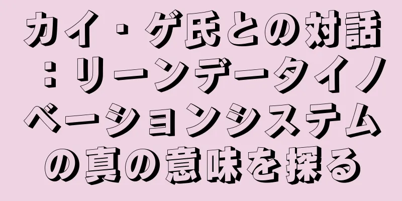 カイ・ゲ氏との対話：リーンデータイノベーションシステムの真の意味を探る