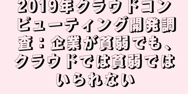 2019年クラウドコンピューティング開発調査：企業が貧弱でも、クラウドでは貧弱ではいられない