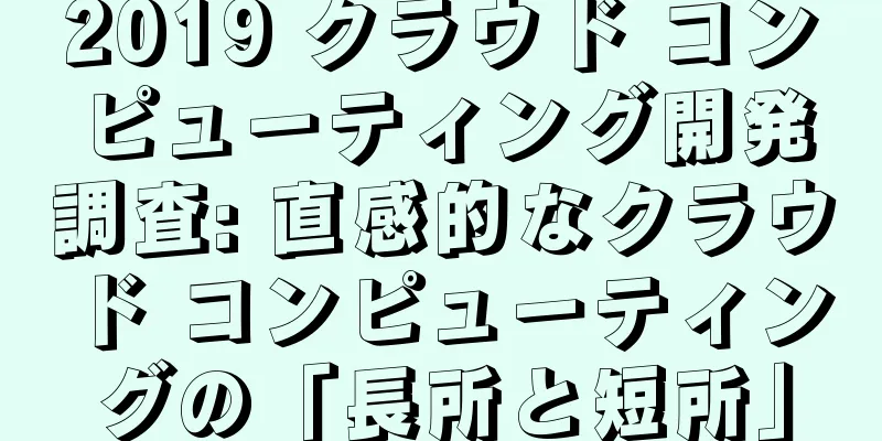 2019 クラウド コンピューティング開発調査: 直感的なクラウド コンピューティングの「長所と短所」