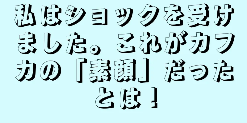 私はショックを受けました。これがカフカの「素顔」だったとは！