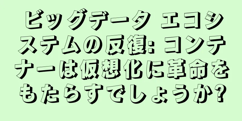 ビッグデータ エコシステムの反復: コンテナーは仮想化に革命をもたらすでしょうか?