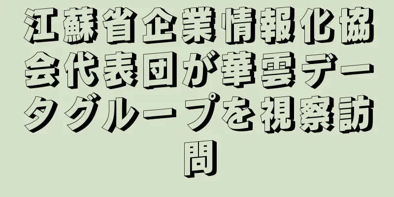 江蘇省企業情報化協会代表団が華雲データグループを視察訪問