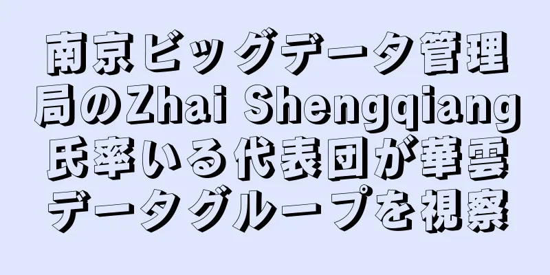南京ビッグデータ管理局のZhai Shengqiang氏率いる代表団が華雲データグループを視察
