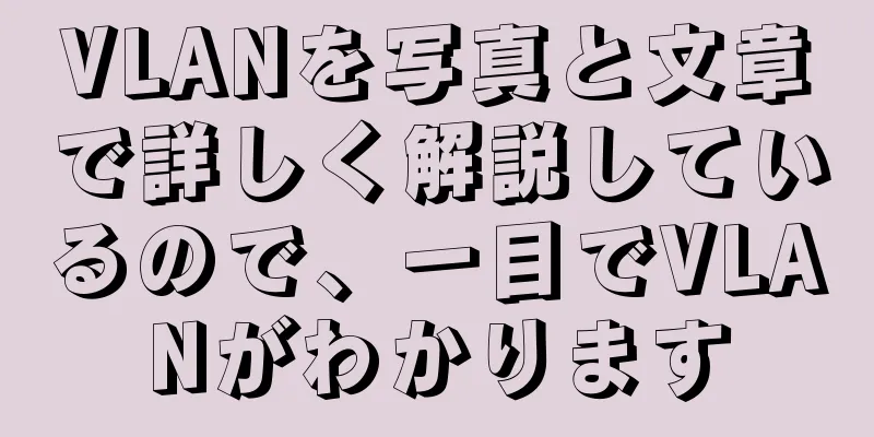 VLANを写真と文章で詳しく解説しているので、一目でVLANがわかります