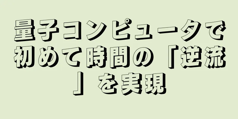 量子コンピュータで初めて時間の「逆流」を実現