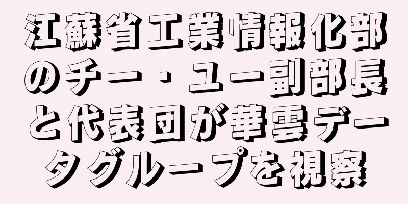 江蘇省工業情報化部のチー・ユー副部長と代表団が華雲データグループを視察
