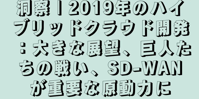 洞察 | 2019年のハイブリッドクラウド開発：大きな展望、巨人たちの戦い、SD-WANが重要な原動力に