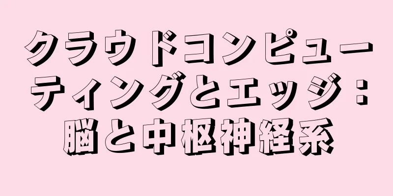 クラウドコンピューティングとエッジ：脳と中枢神経系