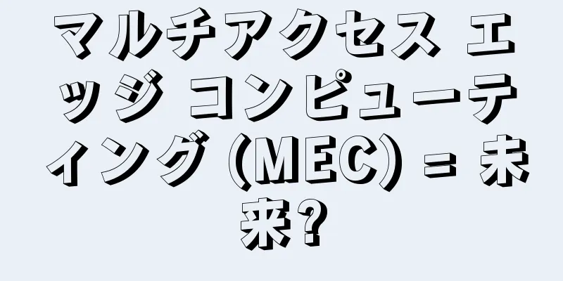 マルチアクセス エッジ コンピューティング (MEC) = 未来?
