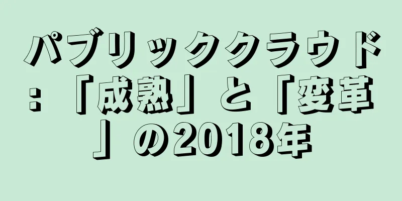 パブリッククラウド: 「成熟」と「変革」の2018年