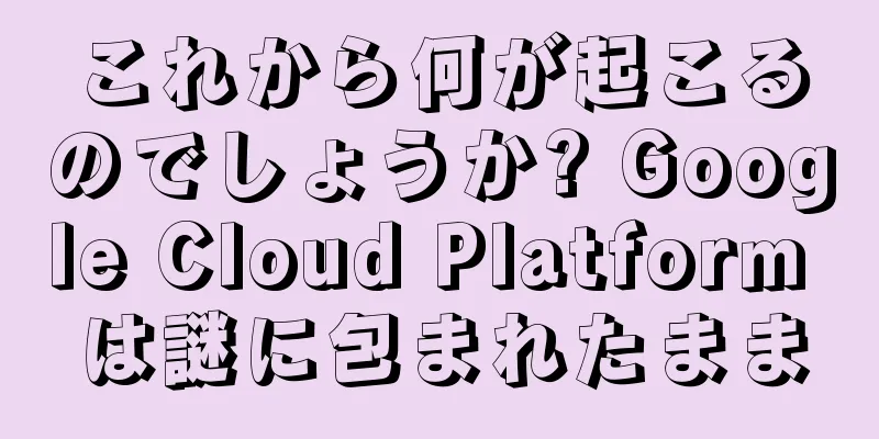 これから何が起こるのでしょうか? Google Cloud Platform は謎に包まれたまま