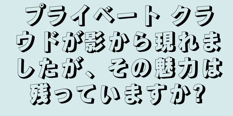 プライベート クラウドが影から現れましたが、その魅力は残っていますか?