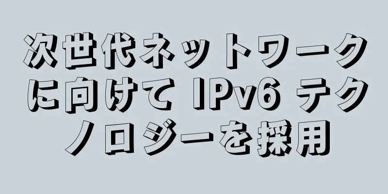 次世代ネットワークに向けて IPv6 テクノロジーを採用