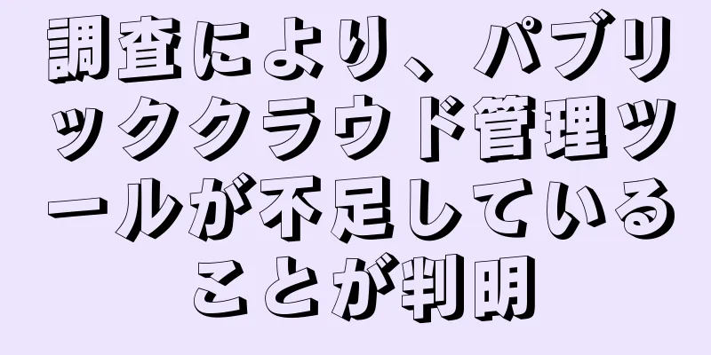 調査により、パブリッククラウド管理ツールが不足していることが判明