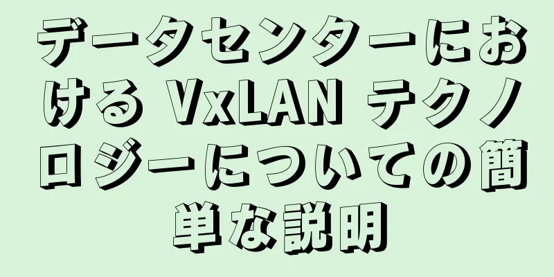 データセンターにおける VxLAN テクノロジーについての簡単な説明