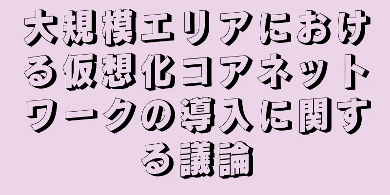 大規模エリアにおける仮想化コアネットワークの導入に関する議論