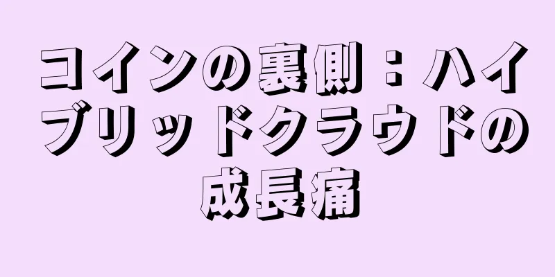 コインの裏側：ハイブリッドクラウドの成長痛