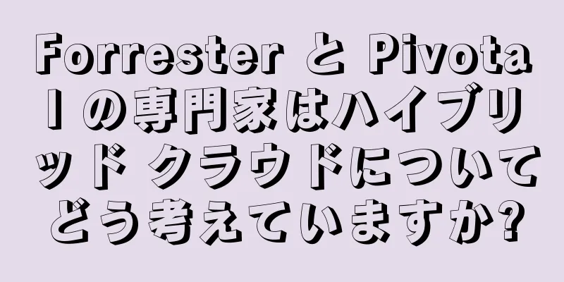 Forrester と Pivotal の専門家はハイブリッド クラウドについてどう考えていますか?