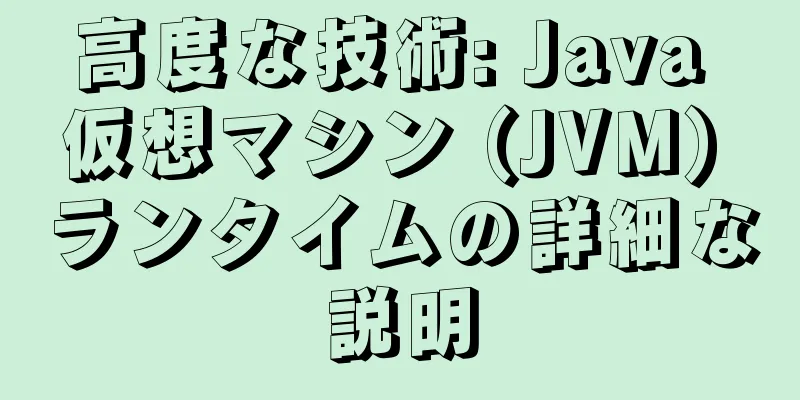 高度な技術: Java 仮想マシン (JVM) ランタイムの詳細な説明
