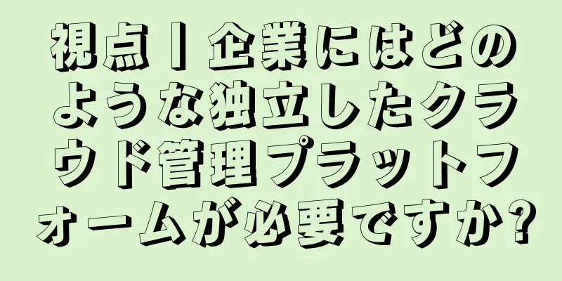 視点丨企業にはどのような独立したクラウド管理プラットフォームが必要ですか?