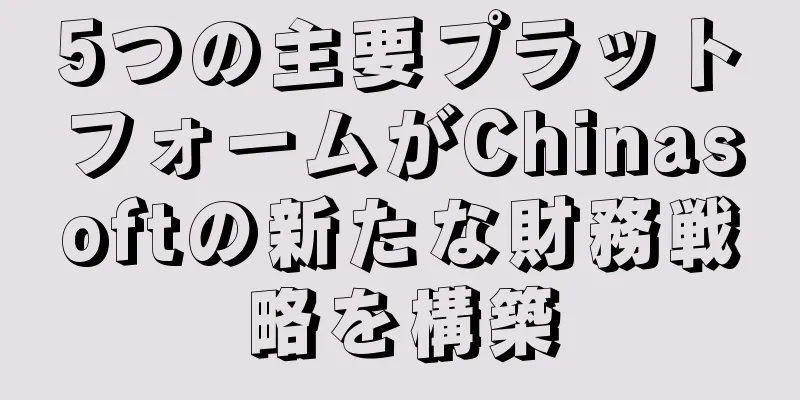5つの主要プラットフォームがChinasoftの新たな財務戦略を構築
