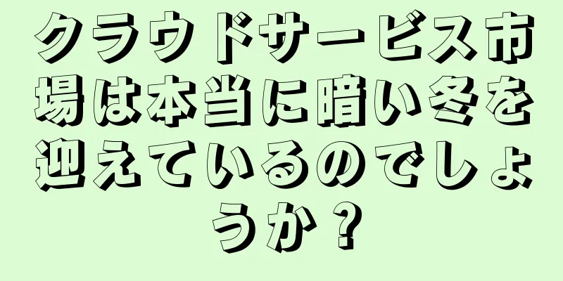 クラウドサービス市場は本当に暗い冬を迎えているのでしょうか？