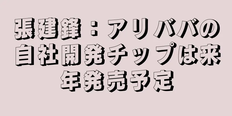 張建鋒：アリババの自社開発チップは来年発売予定