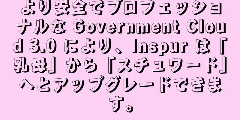 より安全でプロフェッショナルな Government Cloud 3.0 により、Inspur は「乳母」から「スチュワード」へとアップグレードできます。