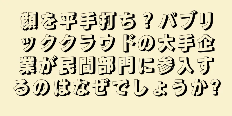 顔を平手打ち？パブリッククラウドの大手企業が民間部門に参入するのはなぜでしょうか?