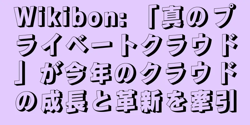 Wikibon: 「真のプライベートクラウド」が今年のクラウドの成長と革新を牽引