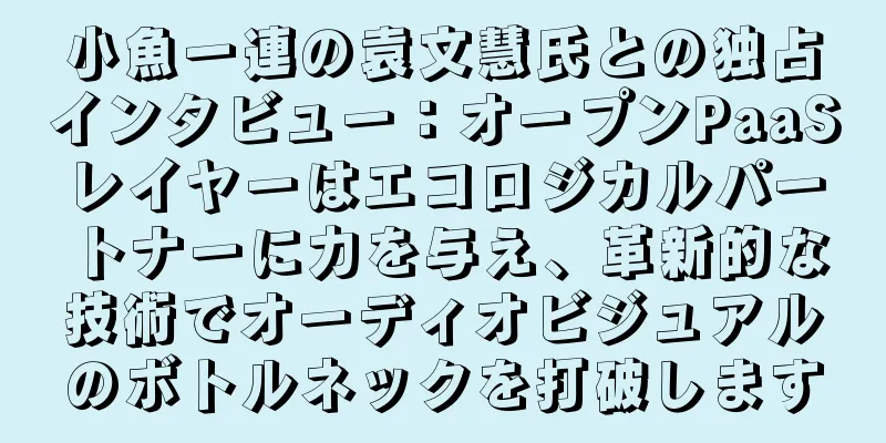 小魚一連の袁文慧氏との独占インタビュー：オープンPaaSレイヤーはエコロジカルパートナーに力を与え、革新的な技術でオーディオビジュアルのボトルネックを打破します