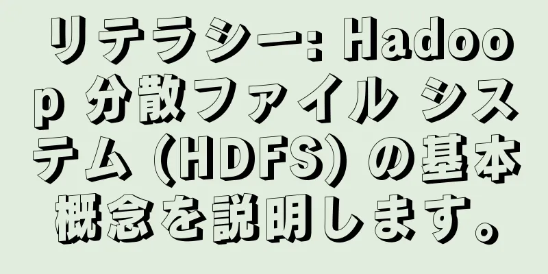 リテラシー: Hadoop 分散ファイル システム (HDFS) の基本概念を説明します。