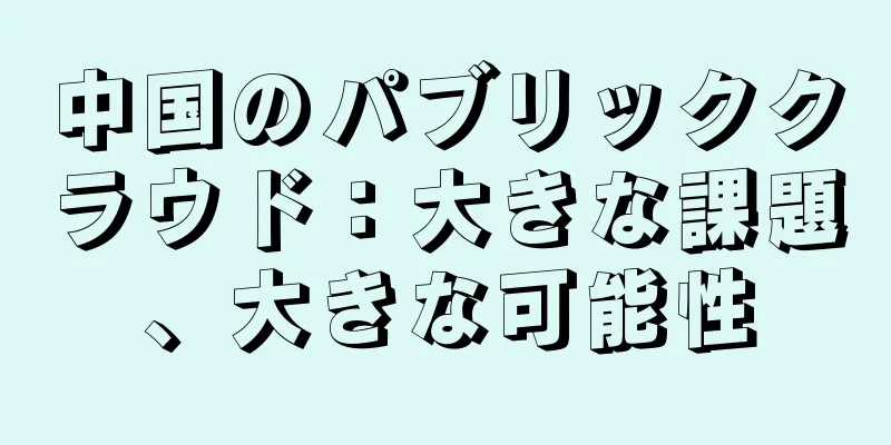 中国のパブリッククラウド：大きな課題、大きな可能性