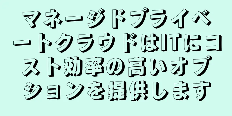 マネージドプライベートクラウドはITにコスト効率の高いオプションを提供します