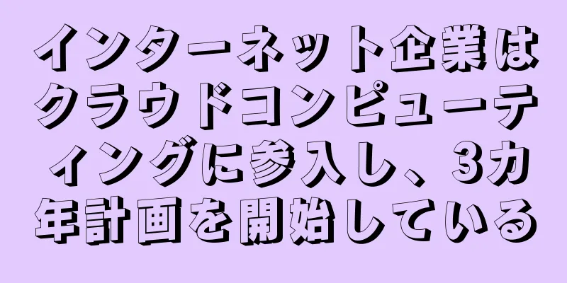 インターネット企業はクラウドコンピューティングに参入し、3カ年計画を開始している