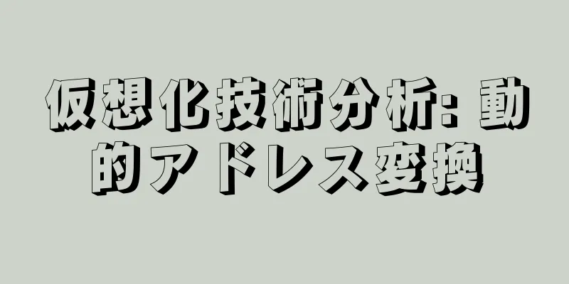 仮想化技術分析: 動的アドレス変換