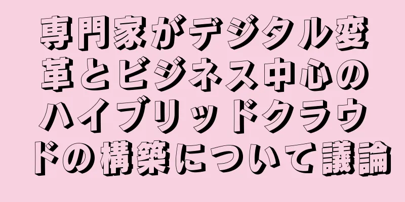専門家がデジタル変革とビジネス中心のハイブリッドクラウドの構築について議論