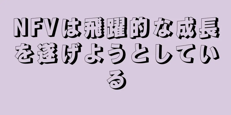 NFVは飛躍的な成長を遂げようとしている